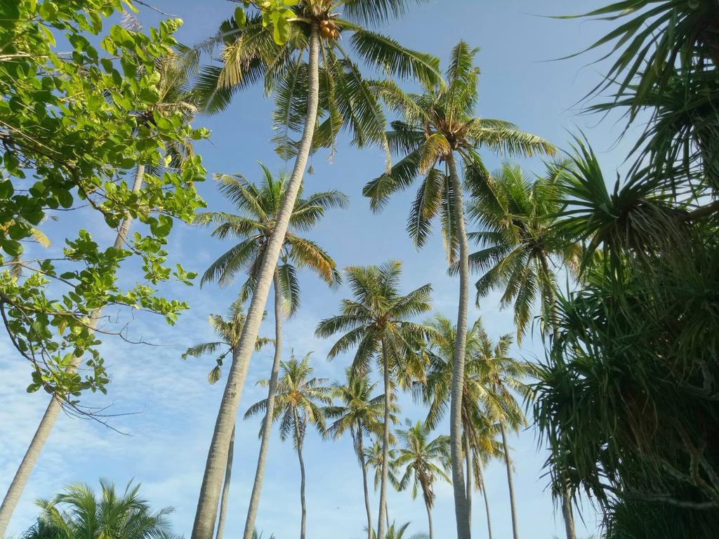 Puri Saron Senggigi Hotel Екстер'єр фото